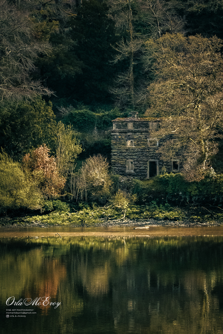 Down by the River